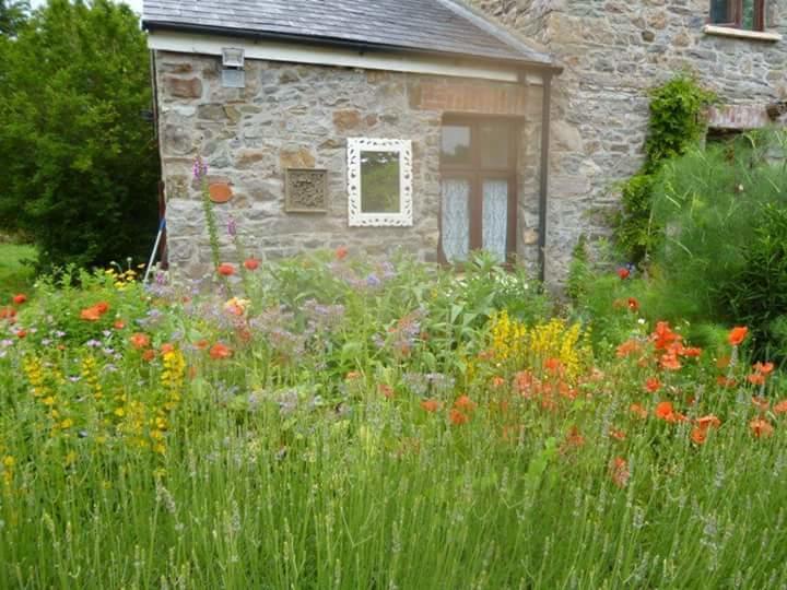 Middle Mill Bed & Breakfast Kidwelly Екстериор снимка